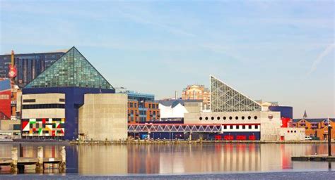 National Aquarium in Baltimore Review - Baltimore Maryland - Sight ...