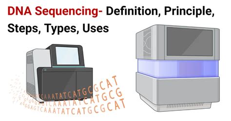 DNA Sequencing- Definition, Principle, Steps, Types, Uses