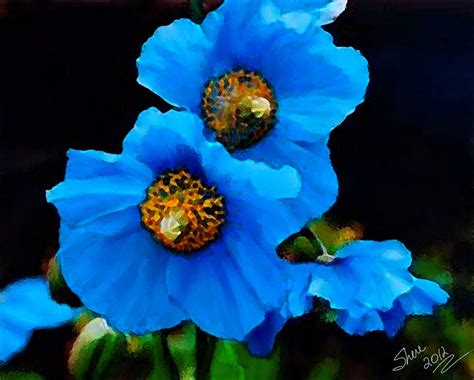 Blue Poppies Painting by Shere Crossman | Fine Art America