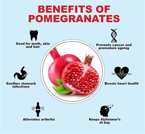 Pomegranate Juice Everyday - Twin Fruit