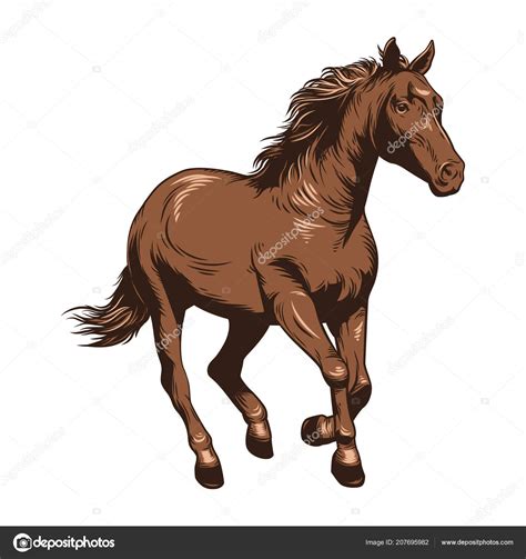 Horse Vector Illustration Horse Racing Drawing Stock Vector Image by ...