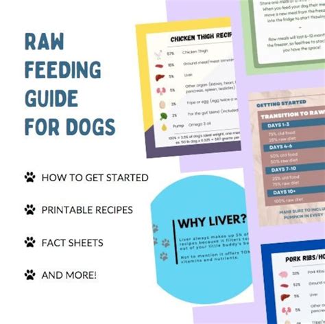 Raw Feeding Guide for Dogs Printable Recipes, Fact Sheets and More - Etsy