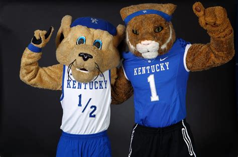 Wildcat Mascot - Walter's Wildcat World