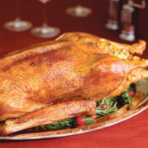 Roast Goose with Chestnut and Leek Stuffing | Williams Sonoma