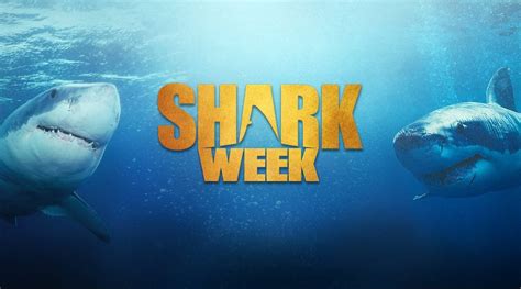Shark Week 2017 Attracts Upscale & Educated Audience