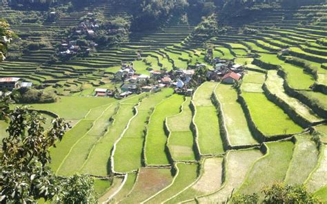 Hiking The Famous Rice Terraces Of Batad And Banaue