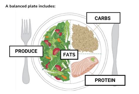 Balance Your Plate - Chelsey Amer