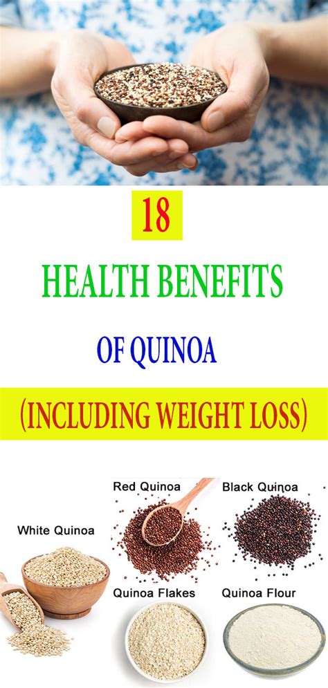 Best Quinoa Weight Loss Collections – Easy Recipes To Make at Home