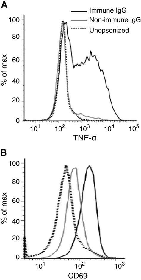 Monocyte activation and cytokine production following phagocytosis of ...