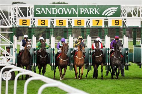 The Ultimate Guide to Sandown Park Racecourse