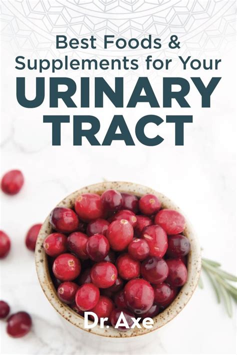 Best Foods and Supplements for Urinary Tract Health | Herbal remedies ...