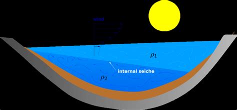 -Schematic overview of a fundamental internal seiche in a lake ...