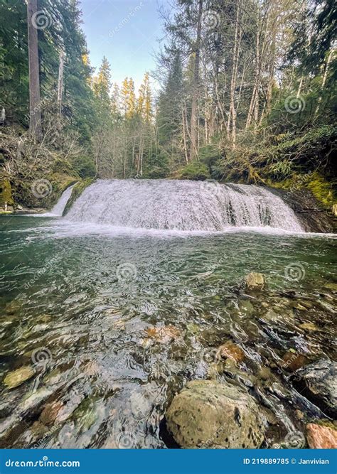 Blue River Oregon stock image. Image of landscape, creek - 219889785