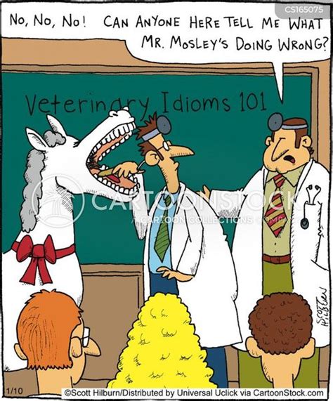 Veterinary Cartoons and Comics - funny pictures from CartoonStock