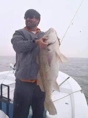 Black Drum Fishing Tips