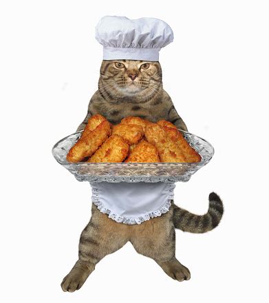 Cat Cook With A Tray Of Chicken Nuggets Stock Photo - Download Image ...