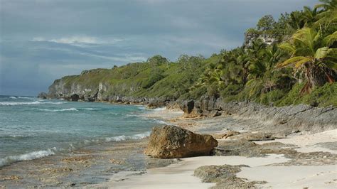 Uninhabited island in the South Pacific found to be most densely polluted in the world | Boat ...