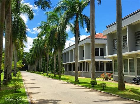 Back to the University – University of Peradeniya, Sri Lanka - Leisure and Me