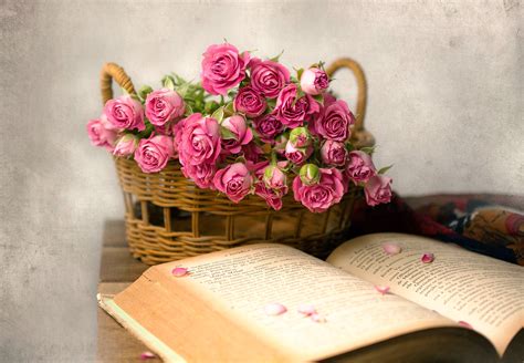 rose, Flowers, Books, Baskets, Pink flowers Wallpapers HD / Desktop and ...