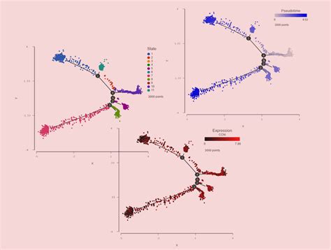 Cellular Differentiation Using Trajectory Analysis & Single Cell RNA-Seq Data – Partek Inc