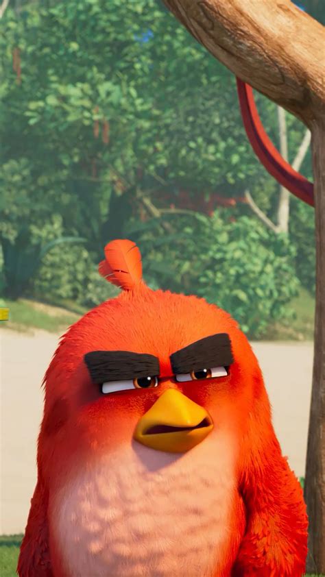 red, Angry Birds Movie, bomb, Best Animation Movies of 2016, chuck, HD ...