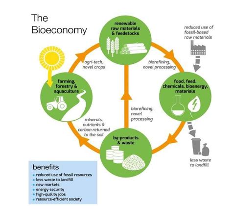 The Bioeconomy (Source: HM Government 2015) | Download Scientific Diagram