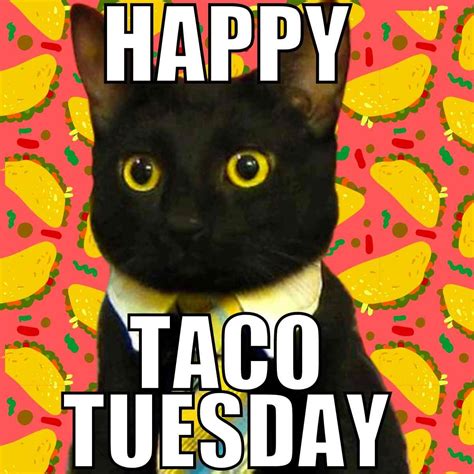 Happy Taco Tuesday Funny