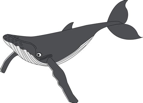 Free Whale Clip Art Pictures - Clipartix