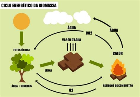 Biomassa, a 3ª fonte de energia mais usada no Brasil - Autossustentável