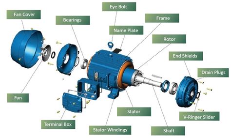 3-Phase AC Motors: Types, Design Characteristics and Common Use - Electrical Axis