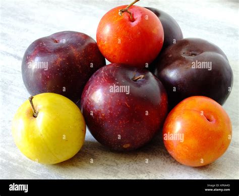 Plum varieties hi-res stock photography and images - Alamy