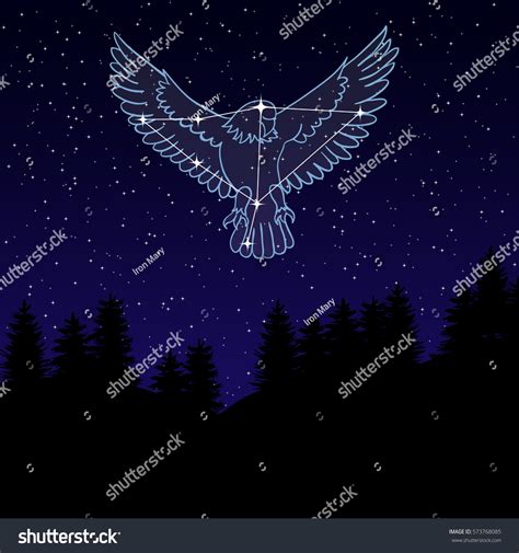 Vector Illustration Night Sky Constellation Eagle Stock Vector 573768085 - Shutterstock