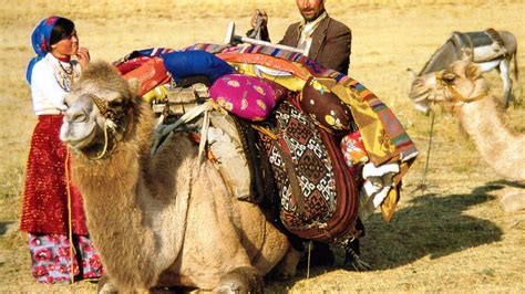 Hand-Weavings Belonging to The Nomadic Culture – Turkish Ethnic Culture