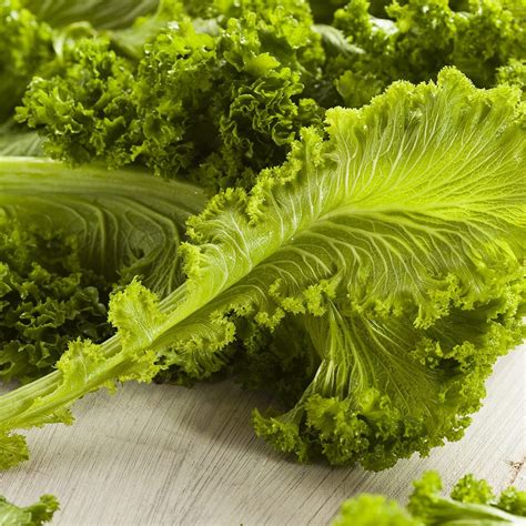 Leafy Greens 101: Your Guide to Leafy Green Vegetables | Taste of Home