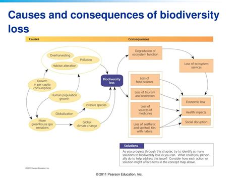 PPT - Biodiversity Loss and Species Extinction PowerPoint Presentation ...