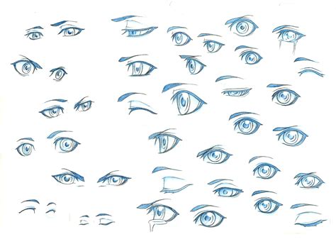 Eye Ref 1 by theShionProject on deviantART | How to draw anime eyes, Anime eyes, Manga eyes