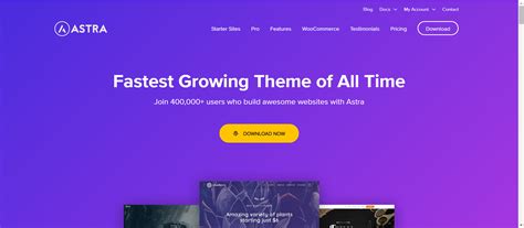 WP Astra Theme Review: WordPress Theme To End All Themes in 2024?