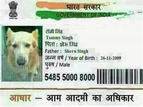 10 Funny Aadhar card Name and Picture | आधार कार्ड के फनी नाम