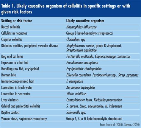 Erysipelas Vs Cellulitis Causes Symptoms Treatments