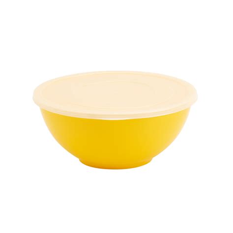 Plastic Bowls with Lids, 6 Piece Set, Rainbow Colors | Basic Essentials