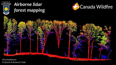 Lidar Maps For Forest Management