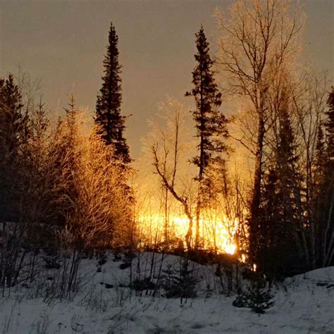 Manitoba signs agreement with Norway House Cree Nation on forestry ...