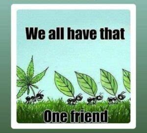 Funny Weed Quotes - ShortQuotes.cc