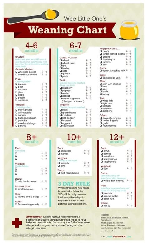 How Much Does Baby Food Cost? | HowMuchIsIt.org