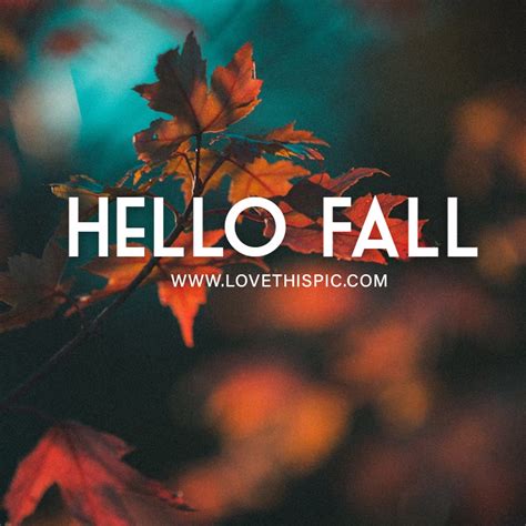 Brown And Red Maple Leaves - Hello Fall Pictures, Photos, and Images ...