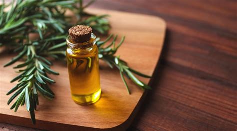 5 Simple Steps for Making Rosemary-Infused Oil from the Garden