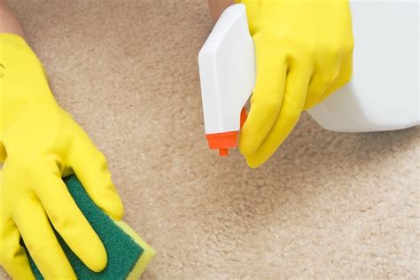 Tide Detergent Carpet Cleaning - Carpet Vidalondon