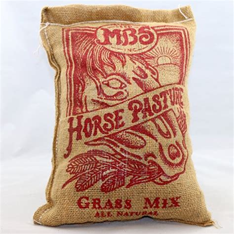 How To Choose The Best Horse Pasture Seed Mix - Horses & Foals