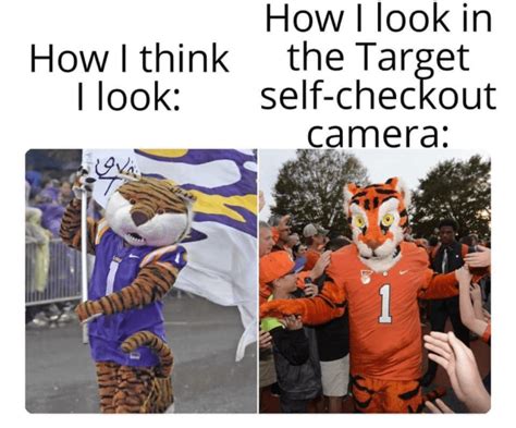 Funny Clemson Mascot Memes | Big 102.1 KYBG-FM