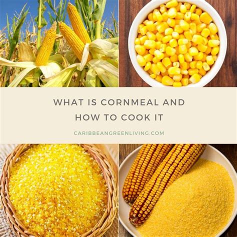 What is Cornmeal and how to cook it – Caribcast